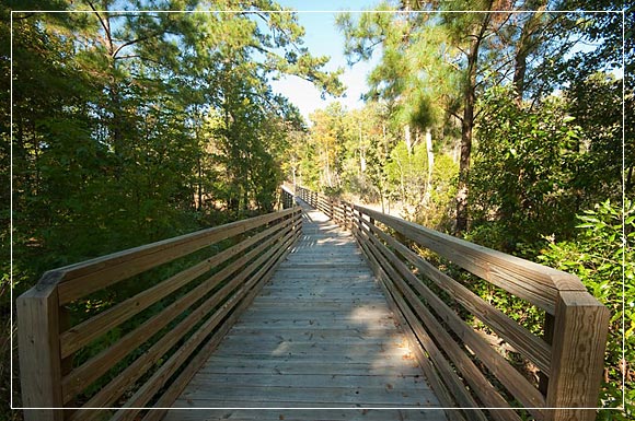 River Sea Plantation Walking Paths