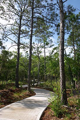 Seascape at Holden Plantation Real Estate