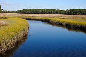 Seawatch at Holden Plantation Homes and Real Estate