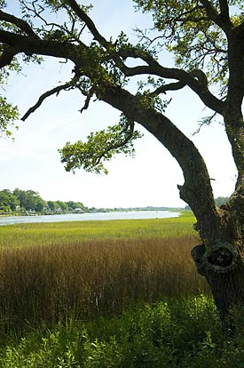 Seawatch at Sunset Harbor Walking Trails